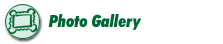 Photo Gallery