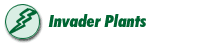 Invader Plants