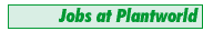 Jobs at Plantworld